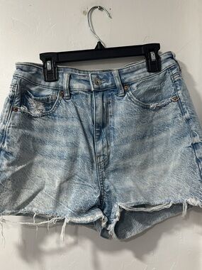 Light Wash AE Denim Mom Shorts